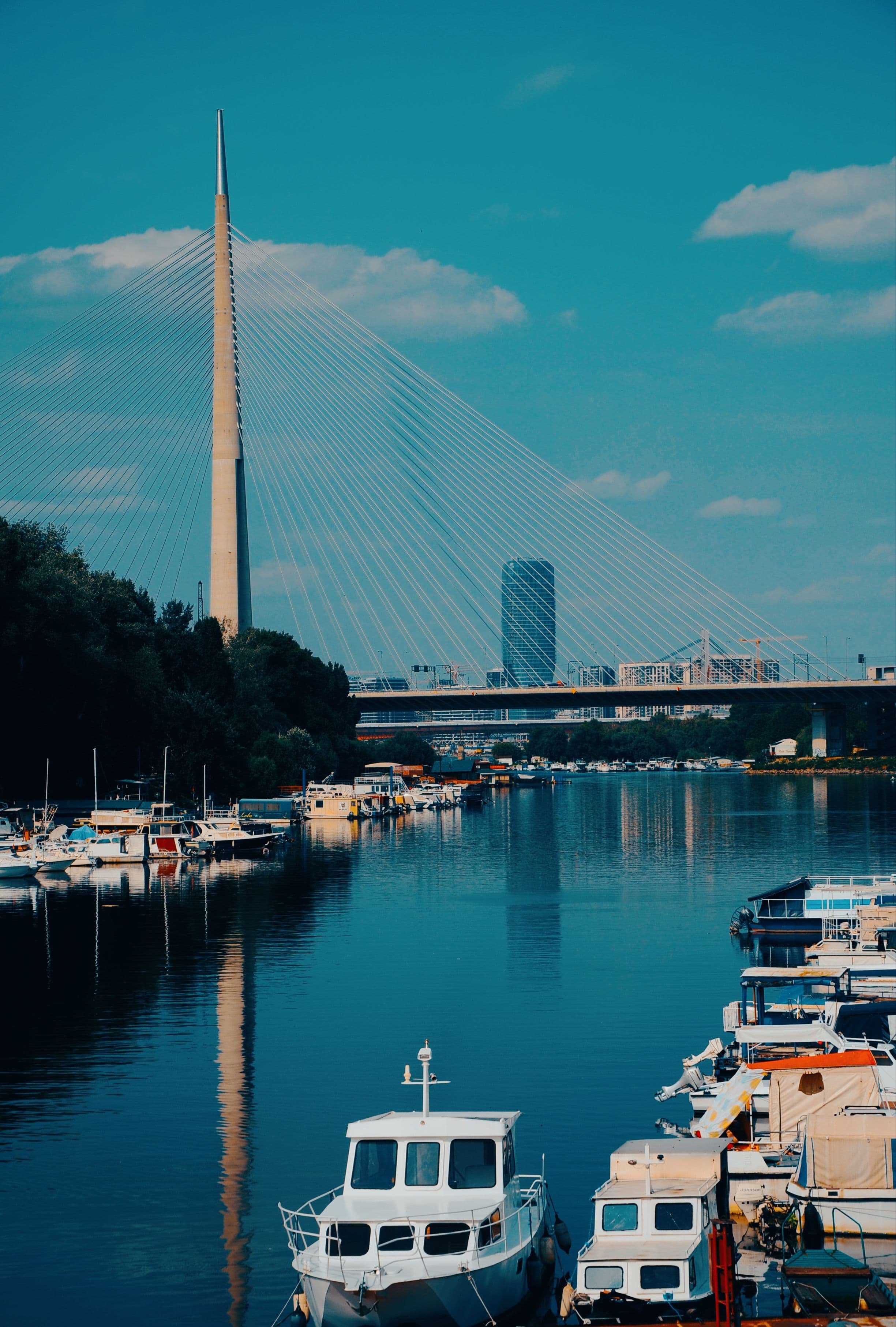 Ada Bridge above boats moored on the Sava, Belgrade